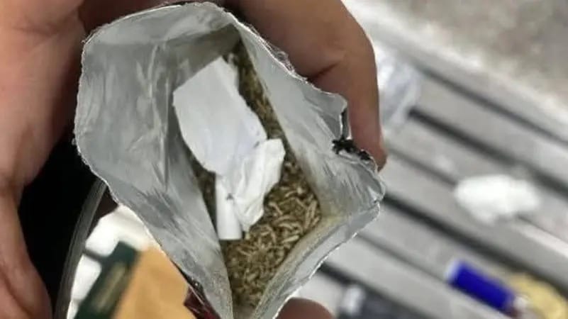 Egitto: sventato il contrabbando di "Voodoo", la droga sintetica cento volte più potente dell'hashish