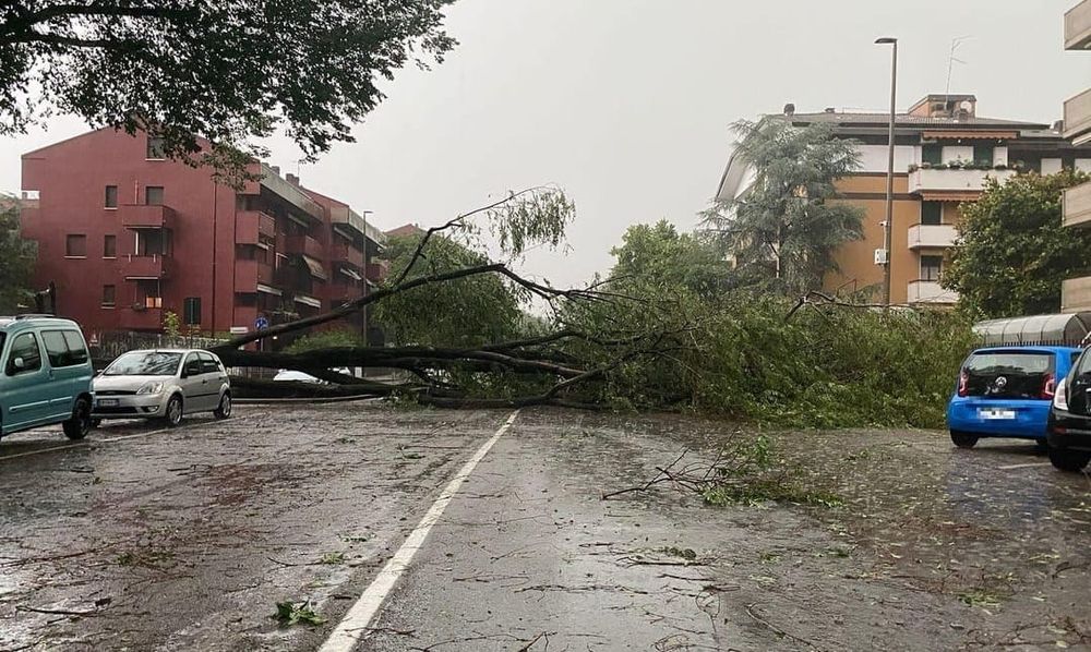 Tempesta su Verona, alberi caduti e tetti divelti: vigili del fuoco al lavoro da ore