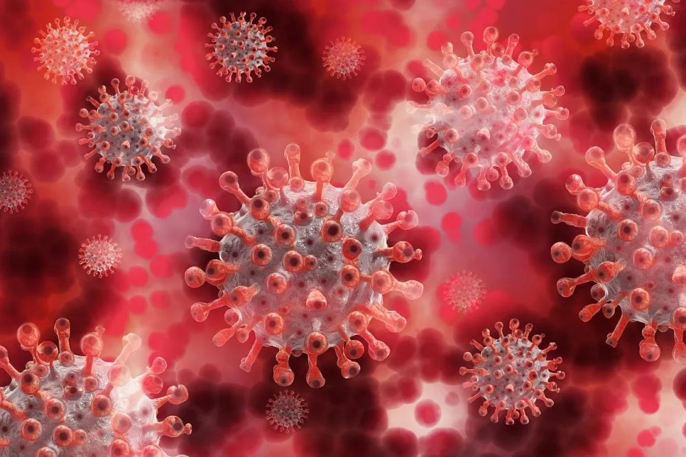 Hantavirus, casi quasi raddoppiati in Argentina: l'allarme si allarga oltre la nave Hondius