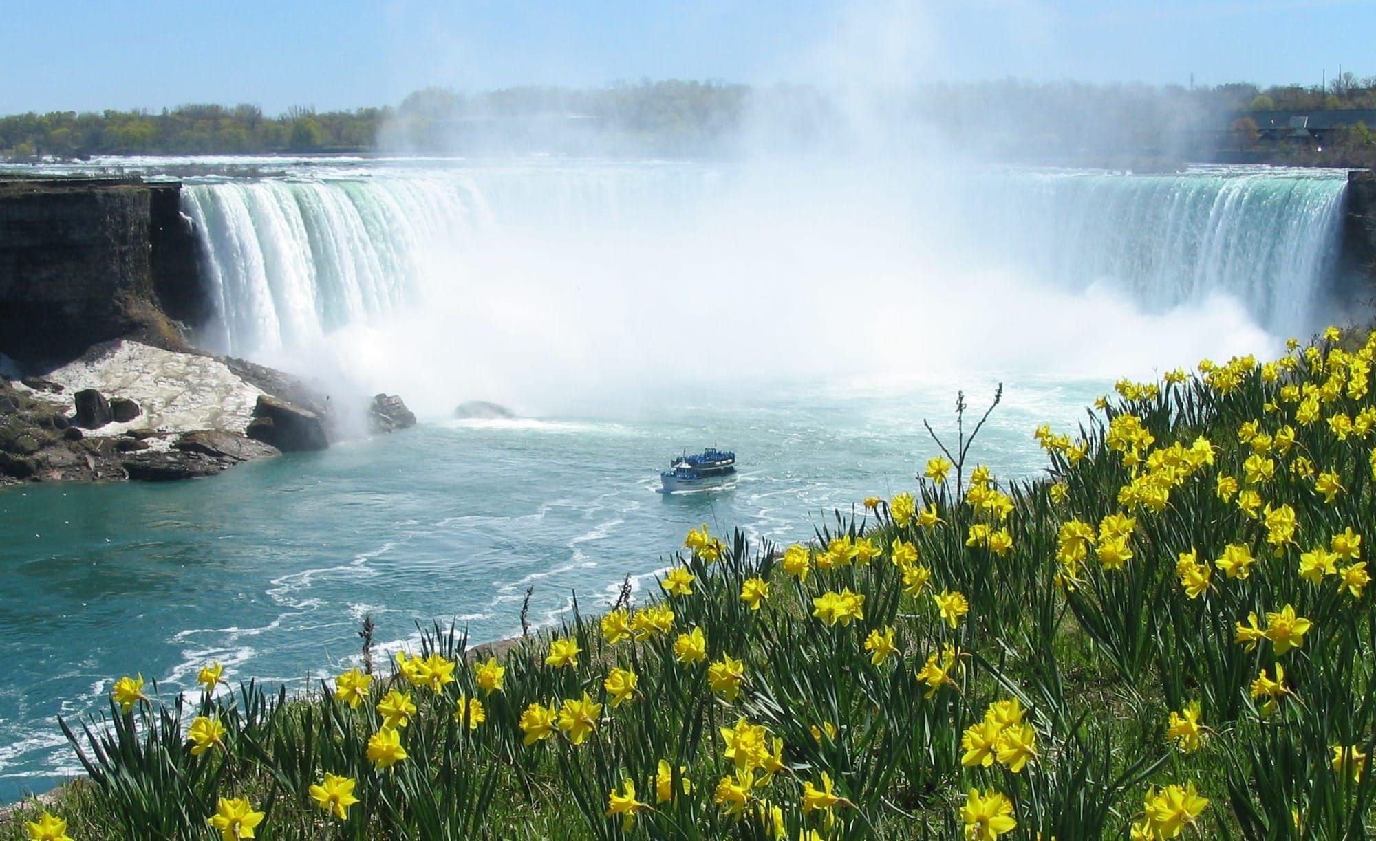 Giornata mondiale della Terra: crisi climatica, plastica e perdita di biodiversità
