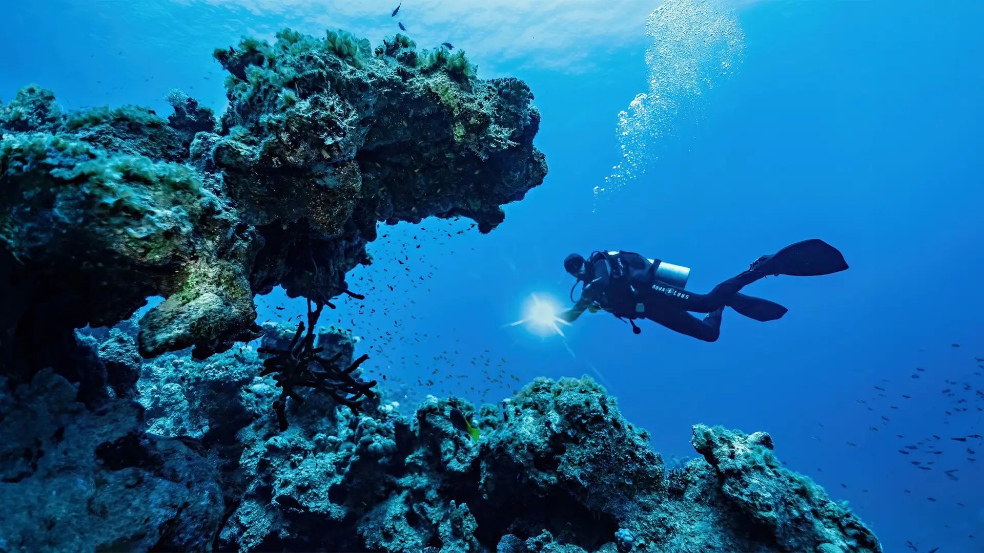 Tragedia alle Maldive, cinque italiani morti durante un’immersione