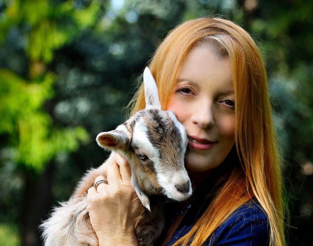 Michela Vittoria Brambilla indagata, sotto esame i fondi destinati a una trasmissione televisiva