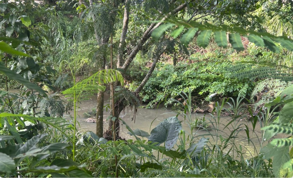 Rotunda oposición del MVC y comunidades a enmiendas al Código Municipal