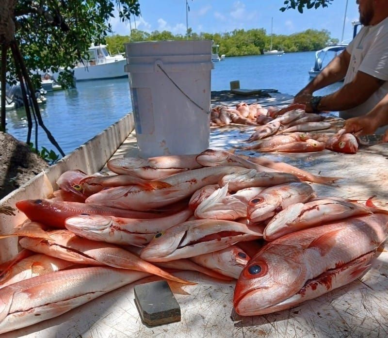 Recursos Naturales mantiene a los pescadores fuera del agua