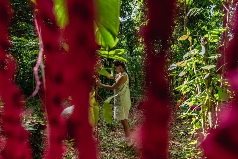 NATURA viaja de Puerto Rico al Taller Boricua en Nueva York