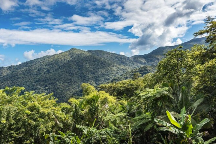 El Yunque y la Región Este necesitan protección, no privatización