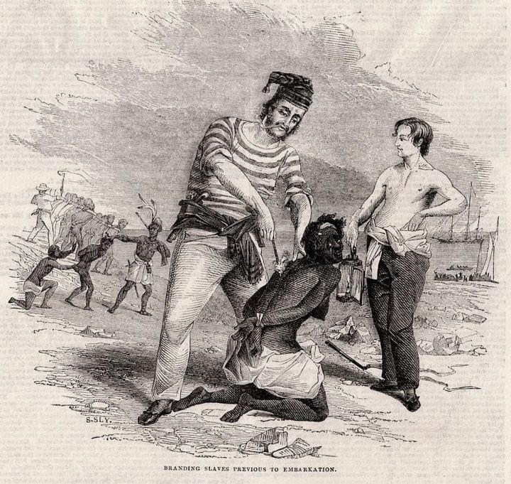 Convergen esclavitud y naturaleza en el Museo Afro Casa Silvana