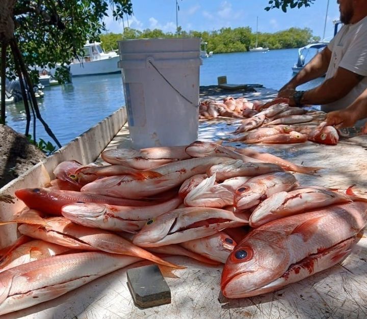 Recursos Naturales mantiene a los pescadores fuera del agua