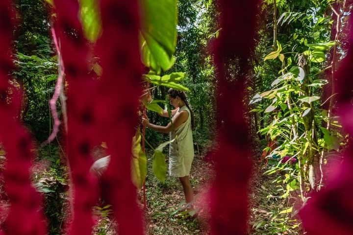 NATURA viaja de Puerto Rico al Taller Boricua en Nueva York