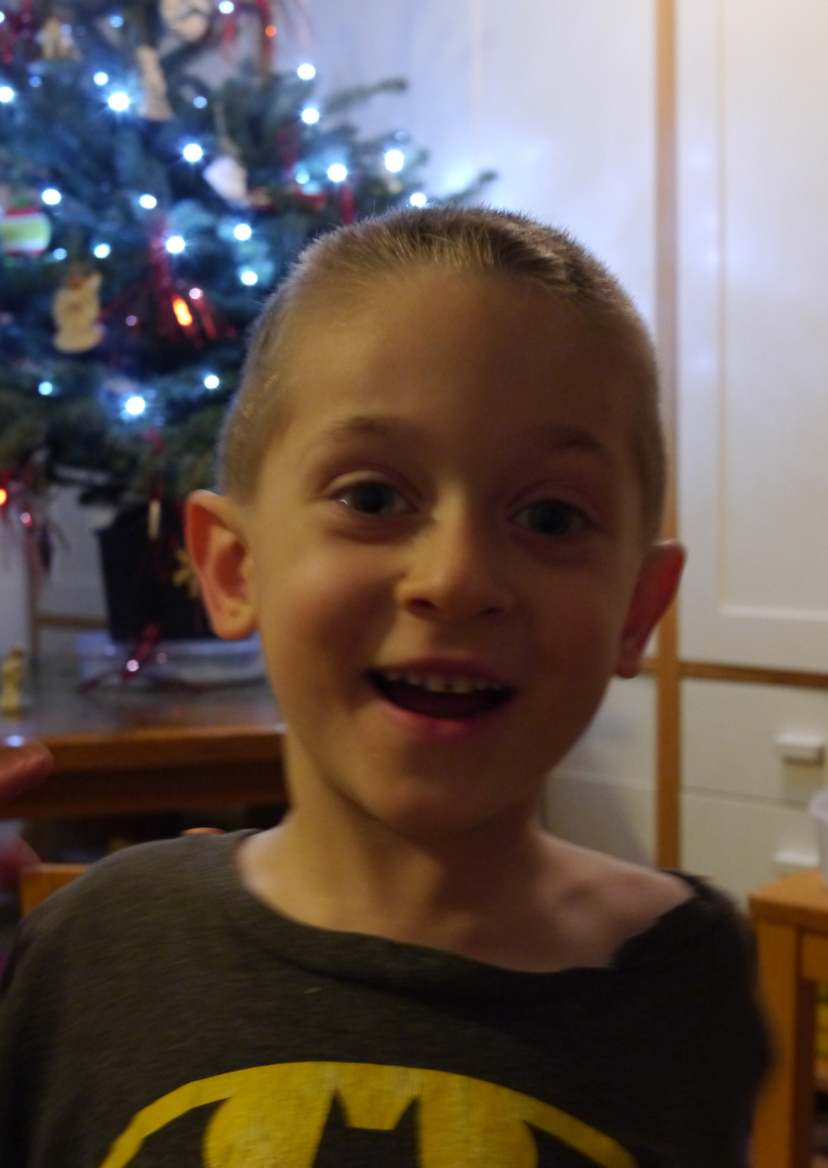 sethandchristmastree