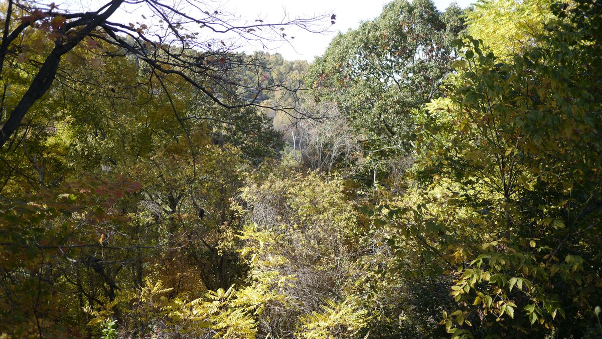 Letting Go and Moving On