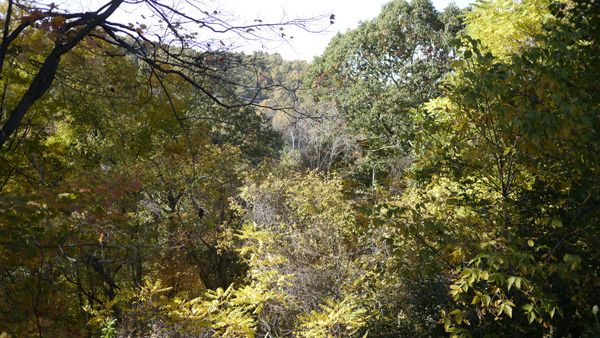 Letting Go and Moving On