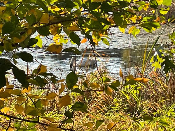 The Changing of the Seasons