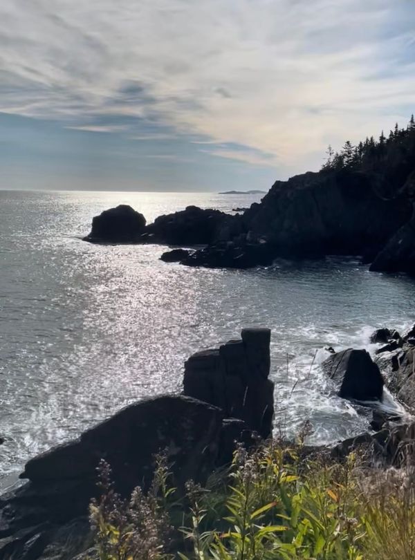 Fragility & Resilience