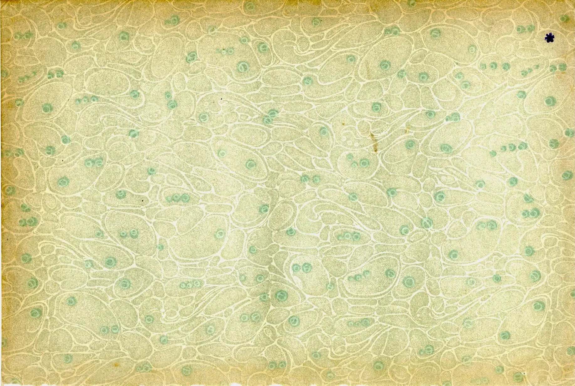 Queequeg, Cleopatra, and Xerxes Walk Into a Bar