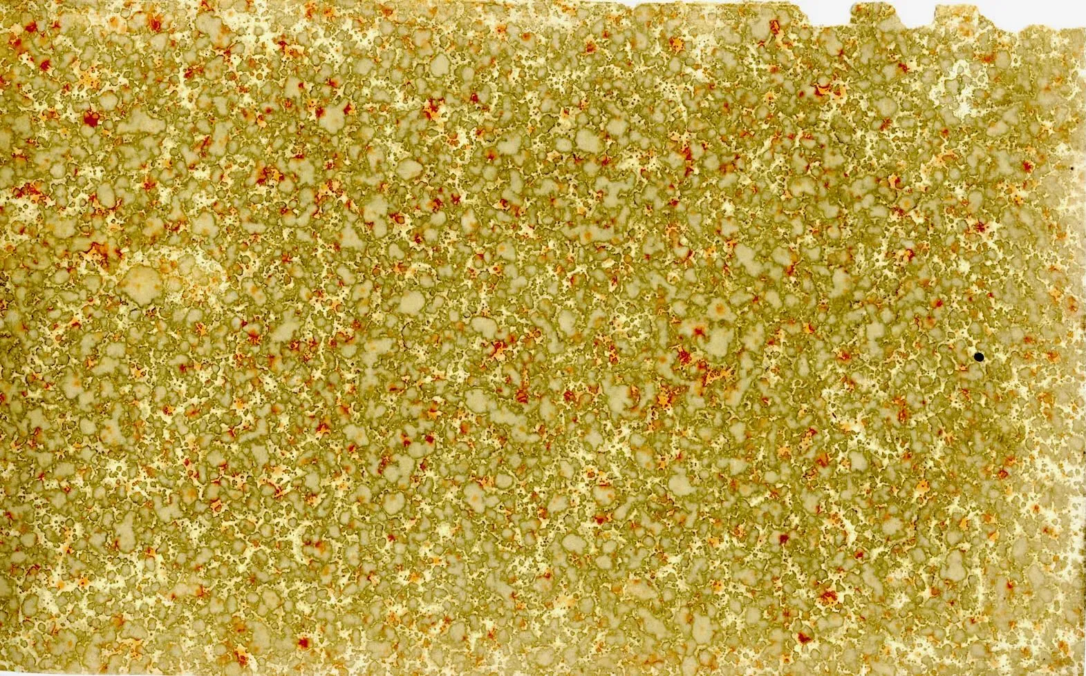 A Favor, If You Please