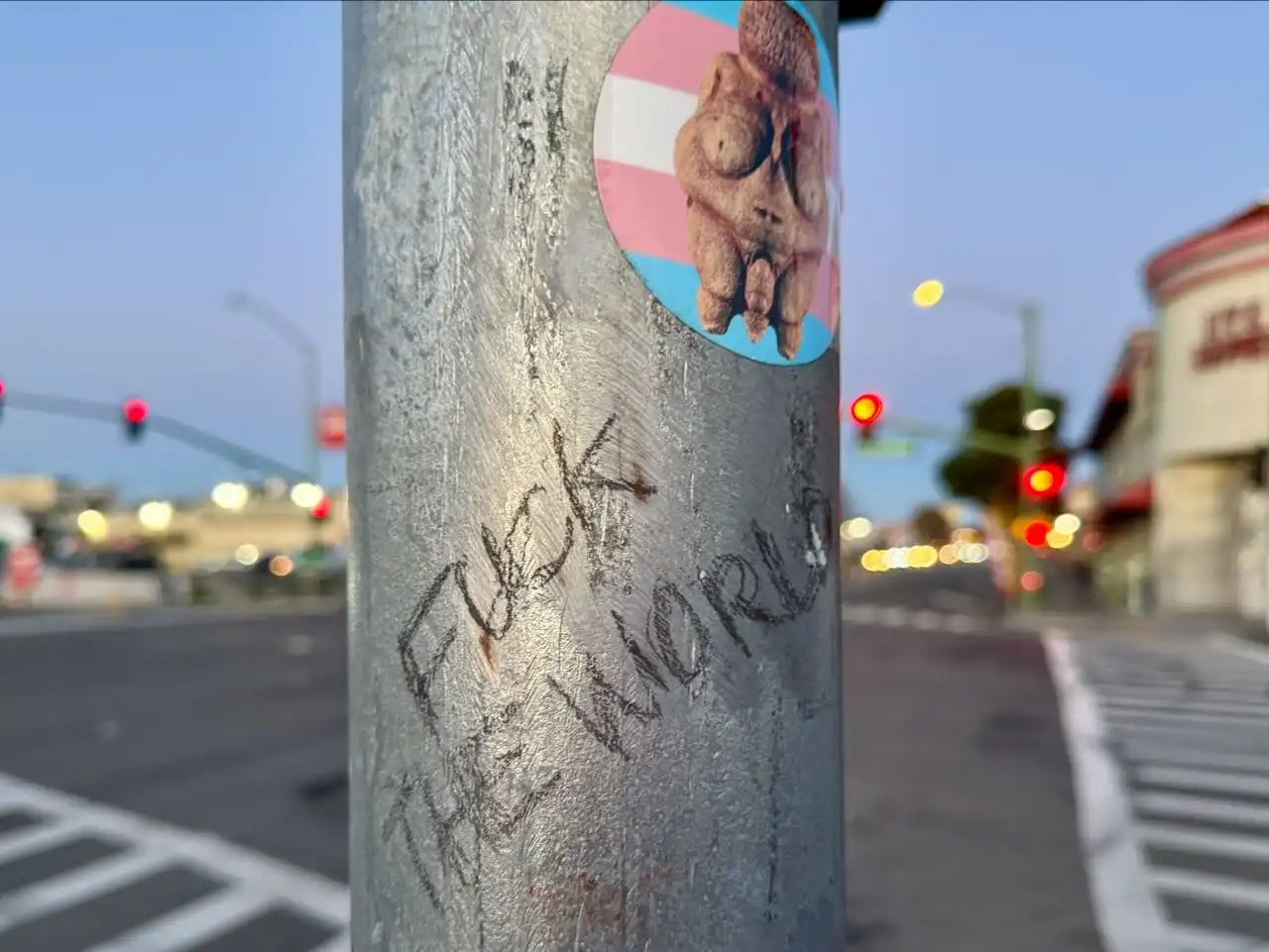 Photo of the words, "FUCK THE WORLD," scratched furiously in pencil, on a metal pole.