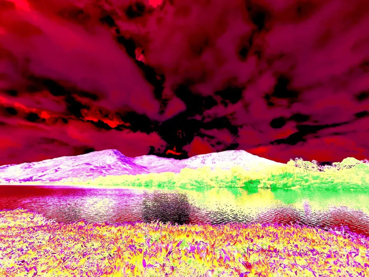 rubbish planet decapitated