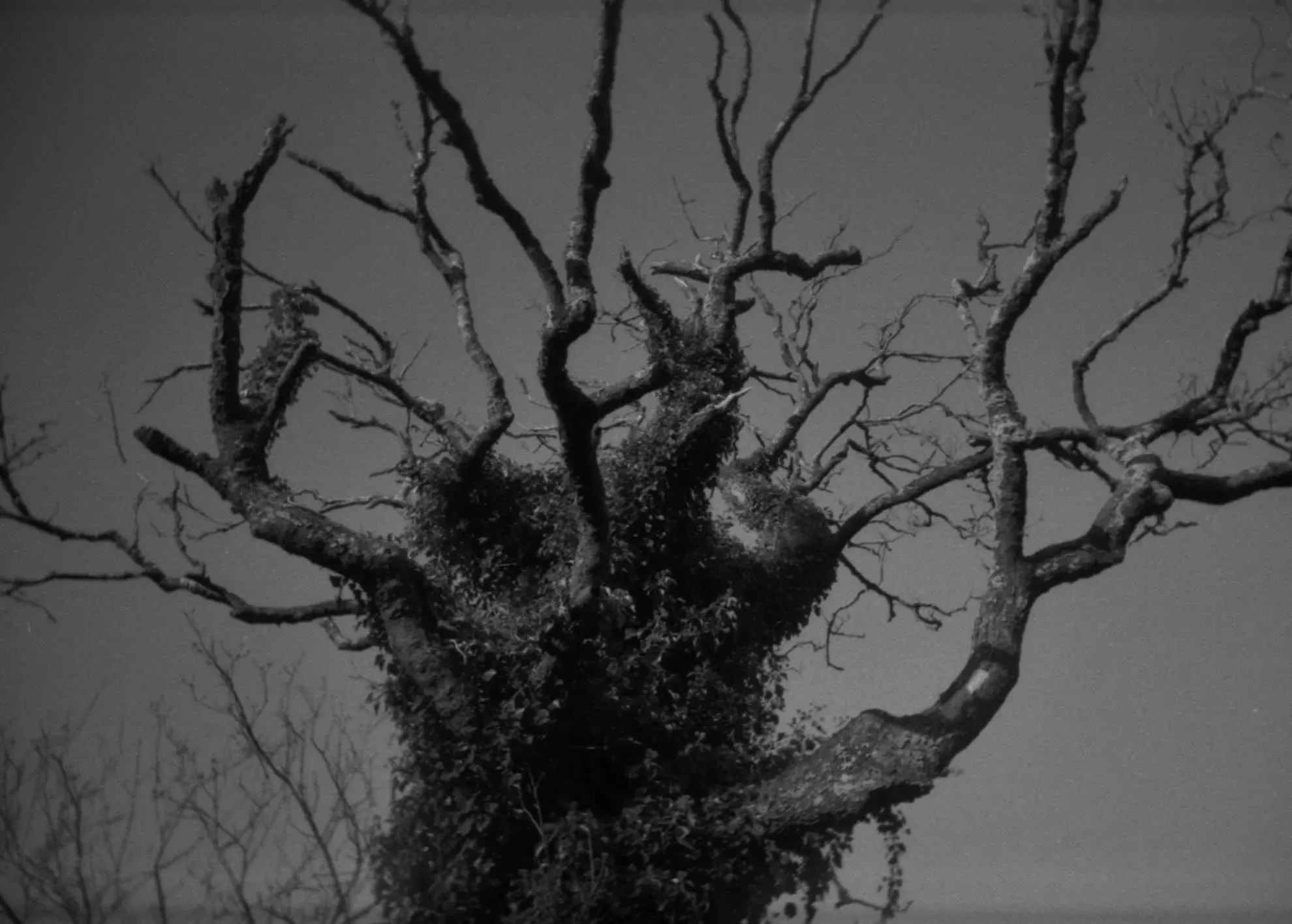 Call Me Benjamin Button