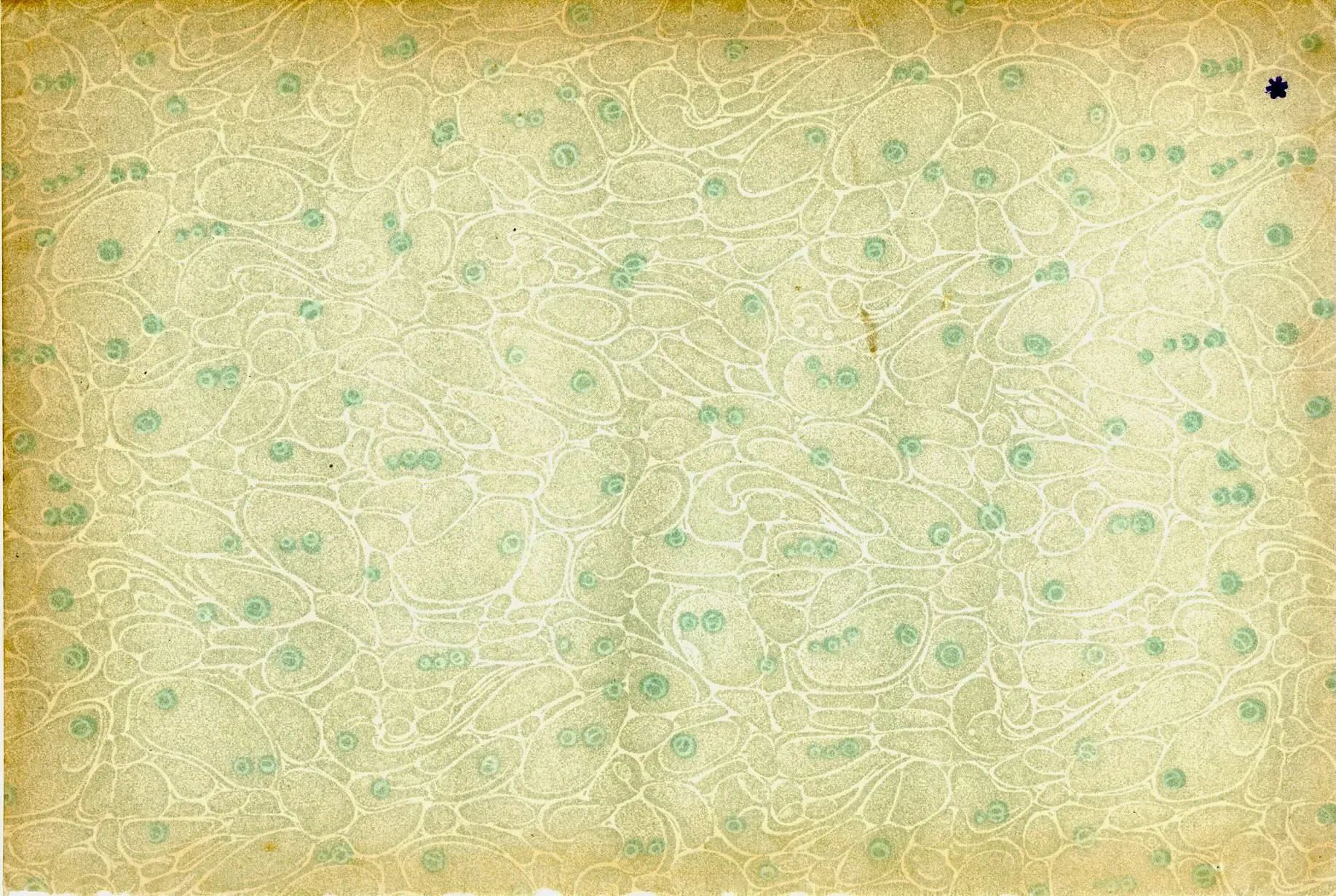 Queequeg, Cleopatra, and Xerxes Walk Into a Bar