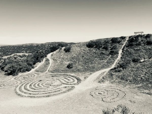 Black and white photo of a labyrinth that looks like an owl.