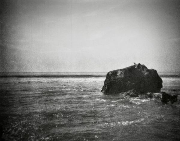Grainy and poorly focused vintage photo of a large rock in the ocean, just offshore. There may be a sea gull perched on the rock, but it's hard to make out.