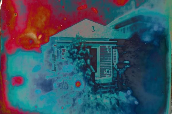 Almost psychedelic image of a house seen through shrubbery. Blood read sky, blue foliage, lots of distortion.