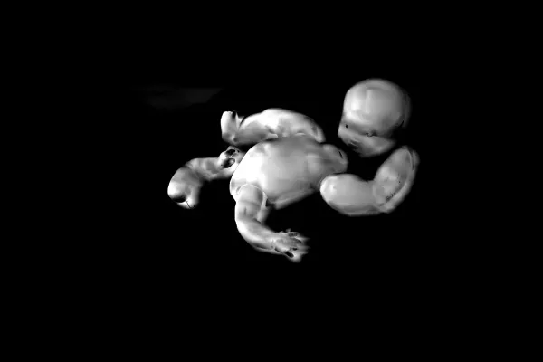 Abstract monochrome photo of dissembled plastic doll parts. Kinda creepy.