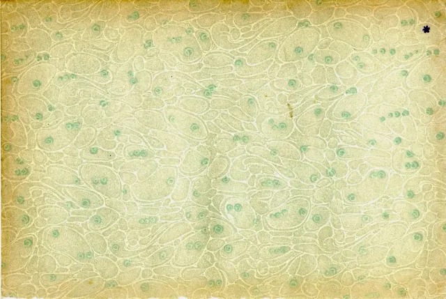 Queequeg, Cleopatra, and Xerxes Walk Into a Bar