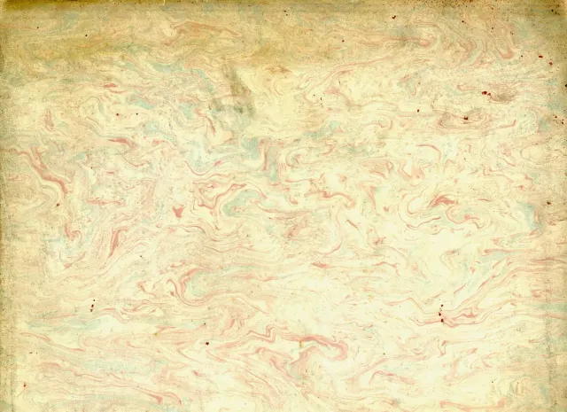 My Vertical Interrogation