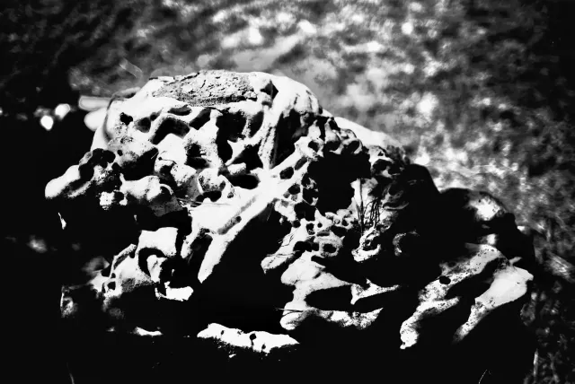 The Custom of Violence