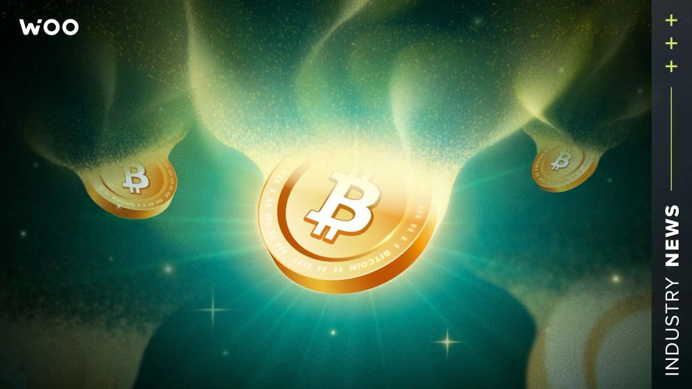 比特幣循環波動的真正原因——不是減半!