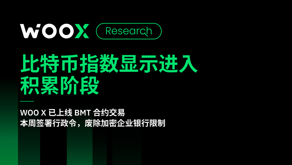 比特币指数显示进入 积累阶段