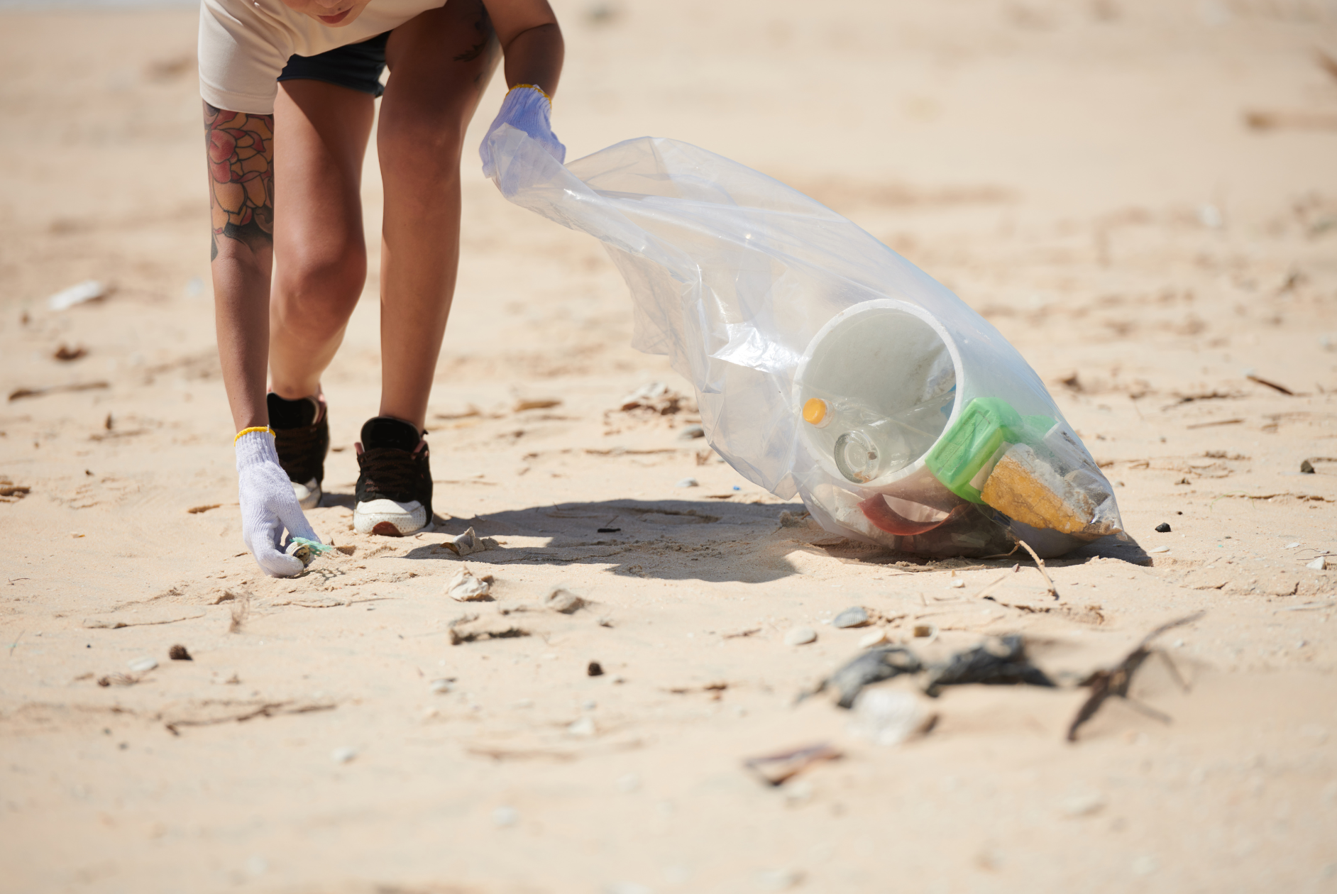 Person sammelt Plastik am Strand in einer Tüte