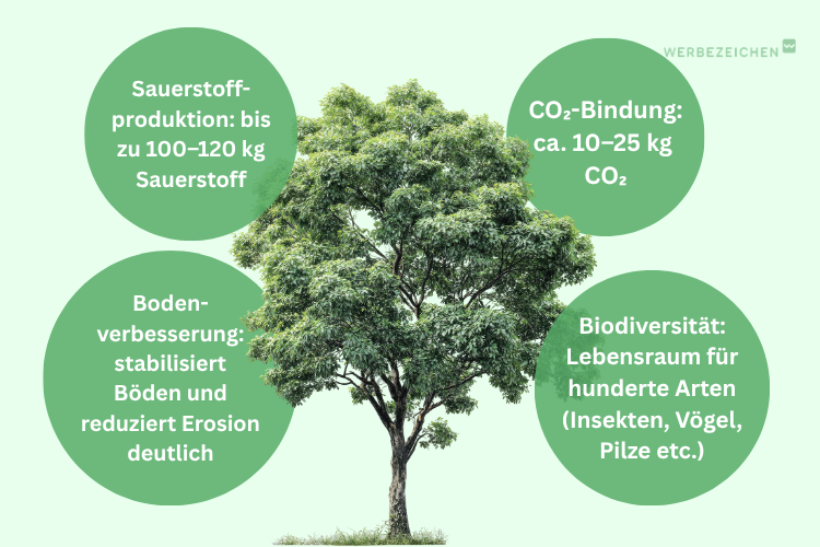 Leistung eines Baums für die Umwelt