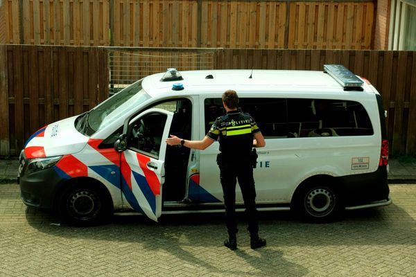 Evidensian ratkaisu eläinlääkäripulaan Hollannissa – laittomat eläinlääkärit