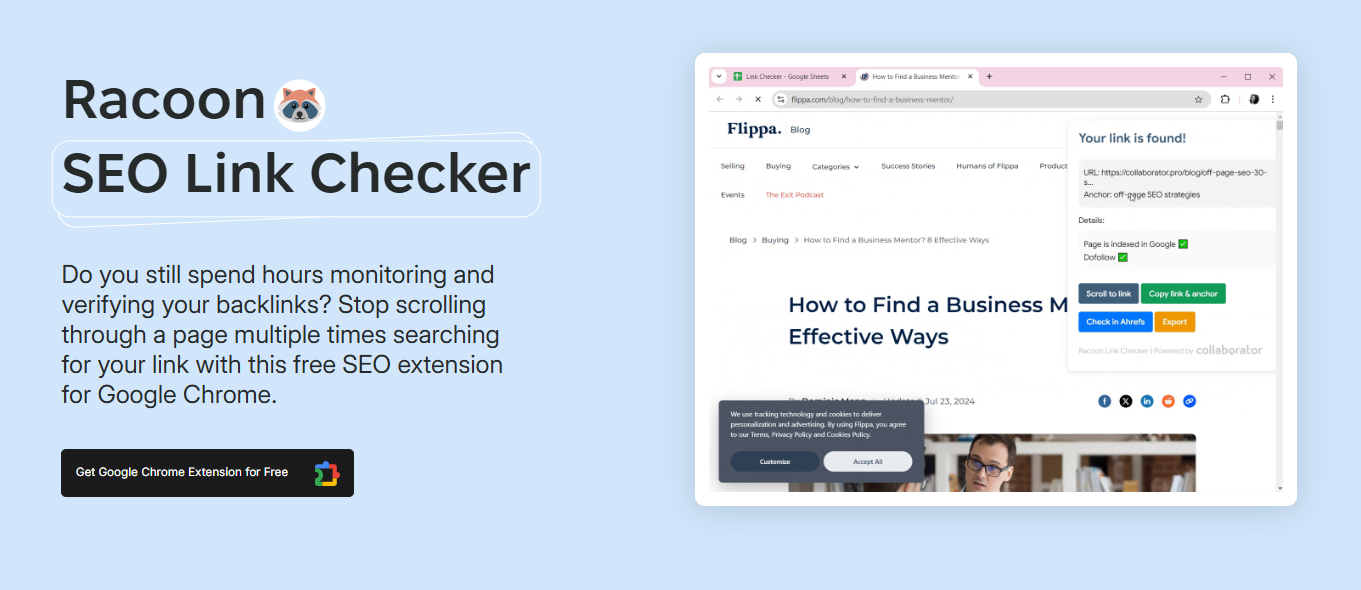 Racoon SEO Link Checker
