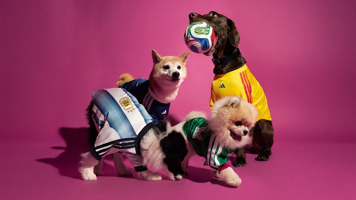 adidas pet-focused collection for World Cup 2026