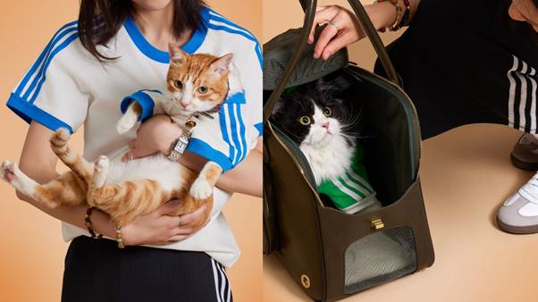 adidas World Cup 2026 pet-focused collection for cats