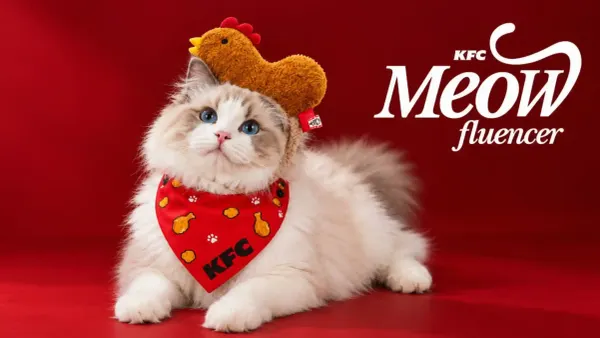 KFC Singapore is hiring a cat as its next brand ambassador