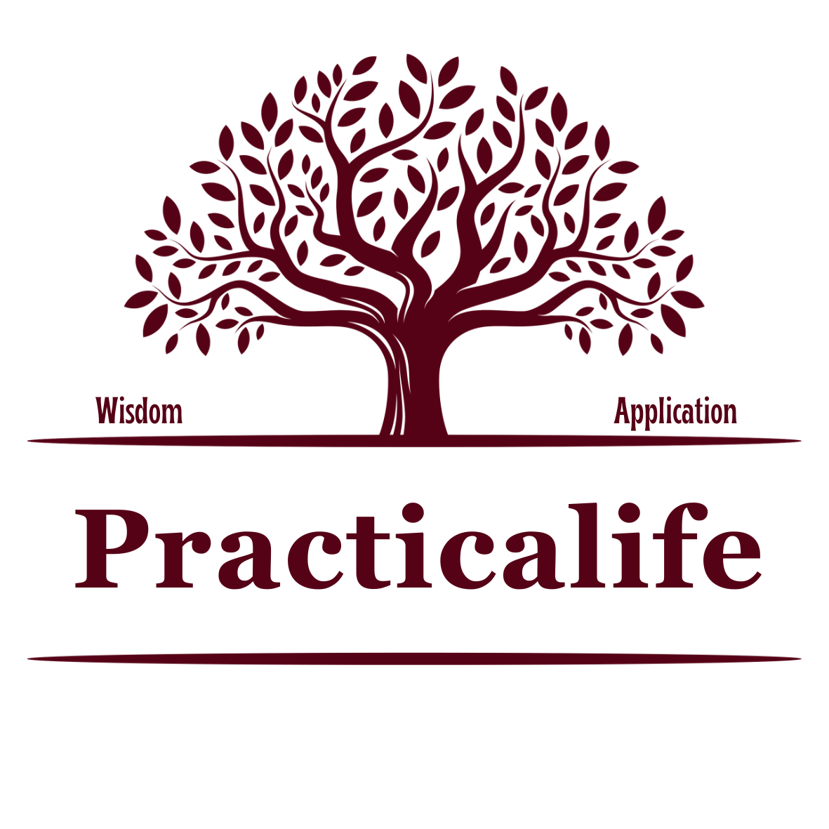 Practicalife 