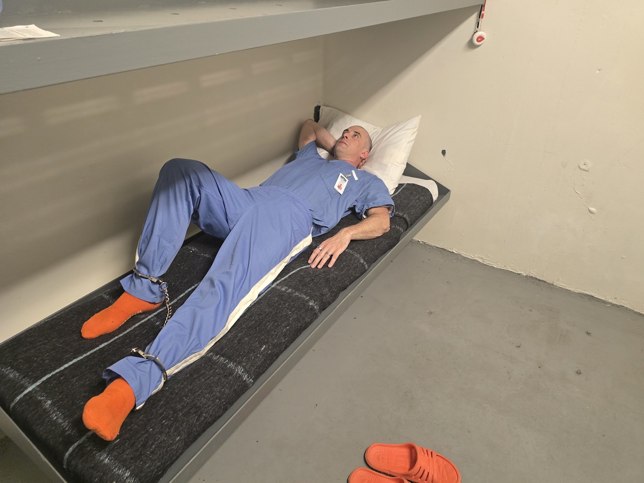Grey Laying Down In Cell 2104