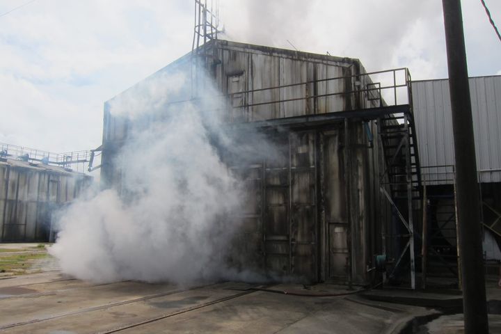 What Alive Feels Like