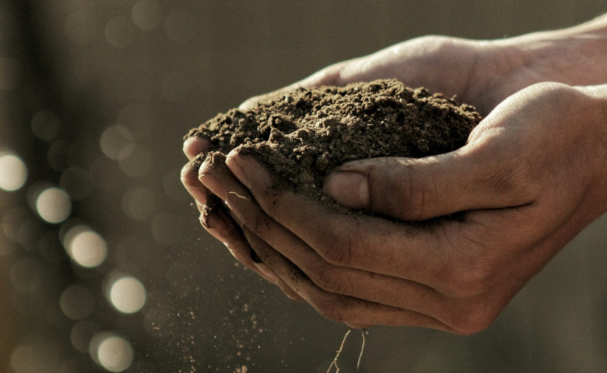 Hands holding rich, composted soil