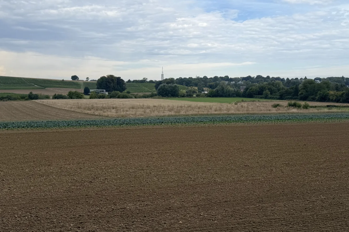 Stad verpacht 28,5 hectare landbouwgrond via loting