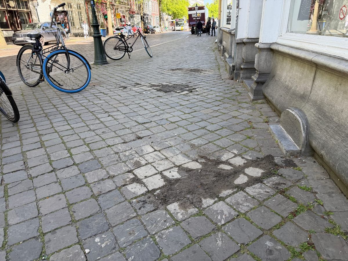 'Stratemaker op zee show' in de Boschstraat