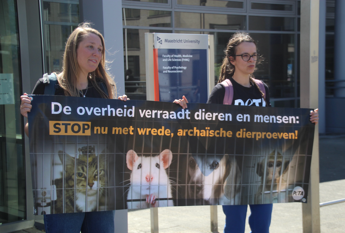 Protest bij UM tegen dierproeven