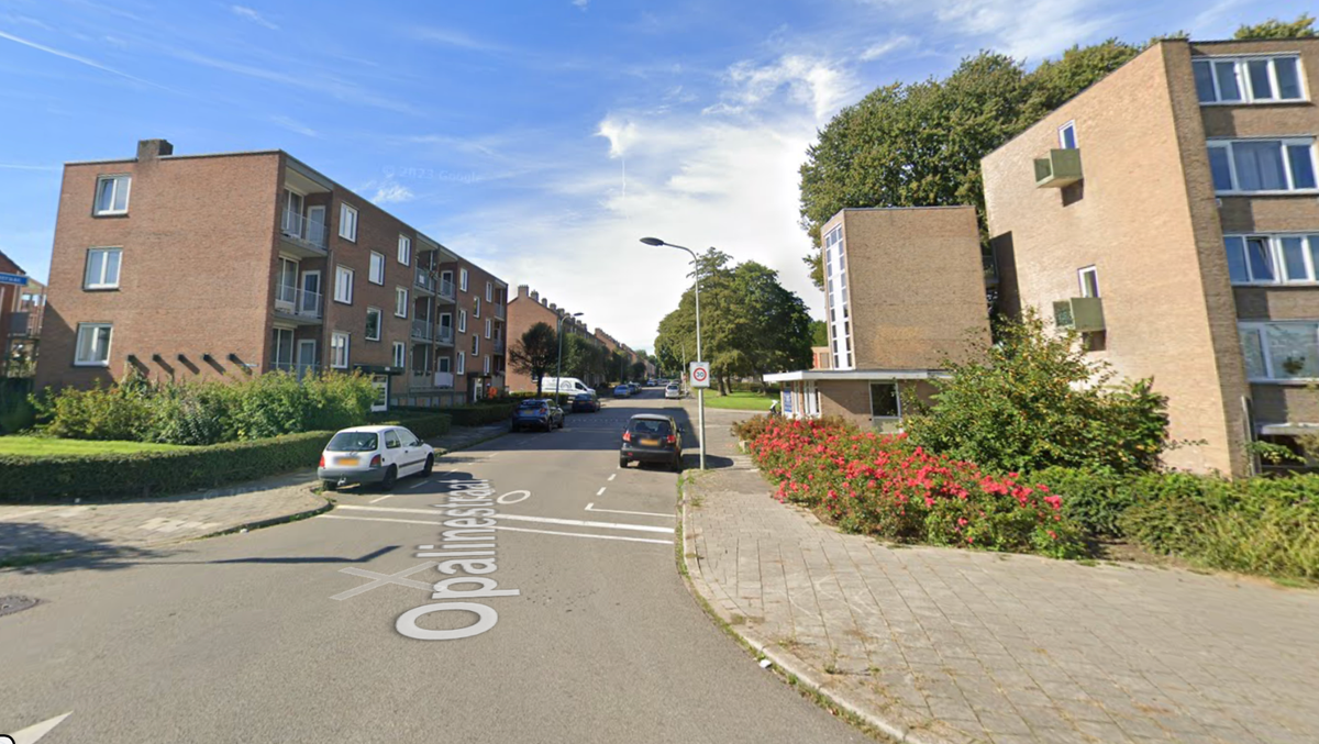 Woonpunt waarschuwt voor vermiste slang Pottenberg