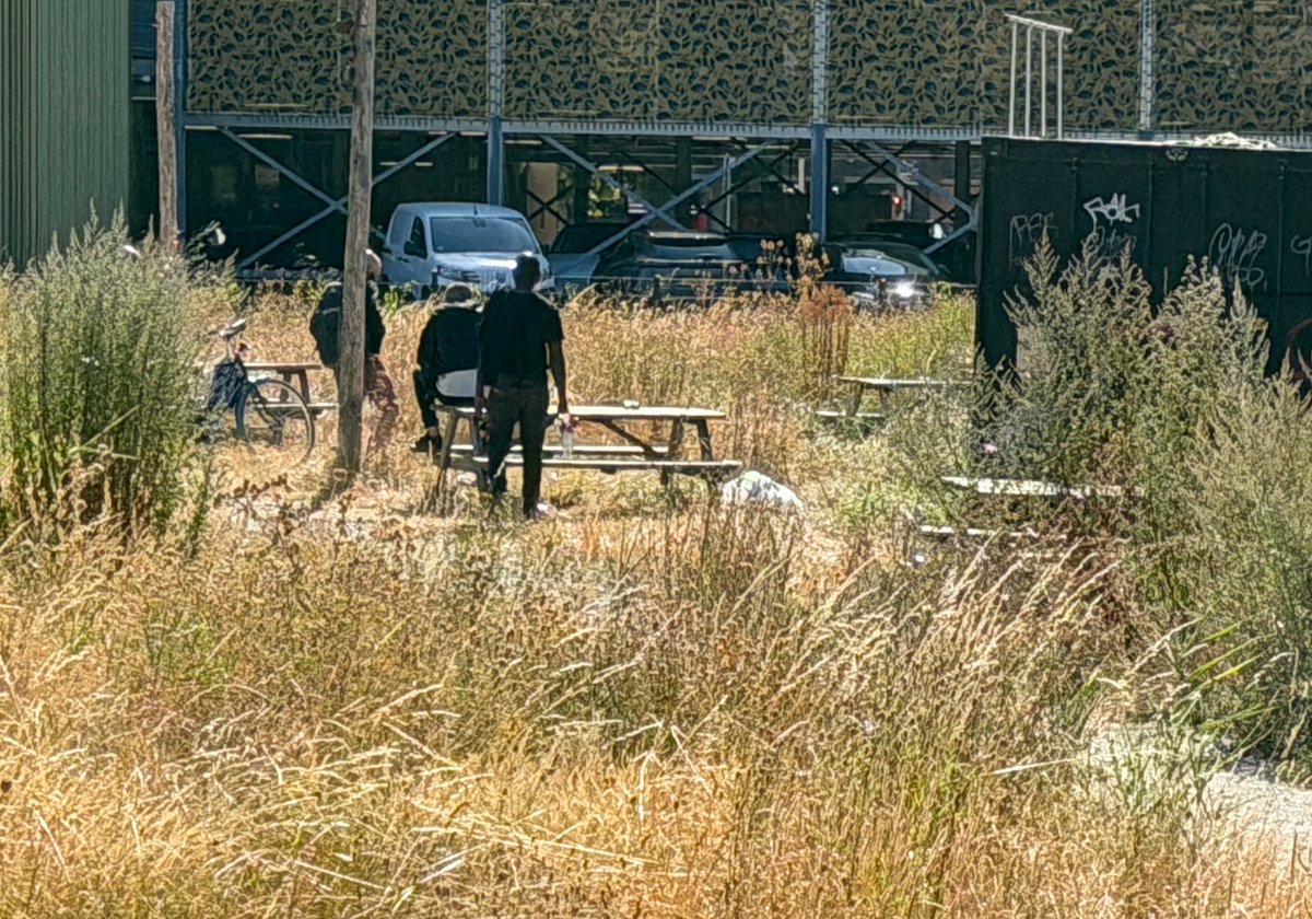 Frontenpark kan uitgroeien tot nieuwe junkenpark