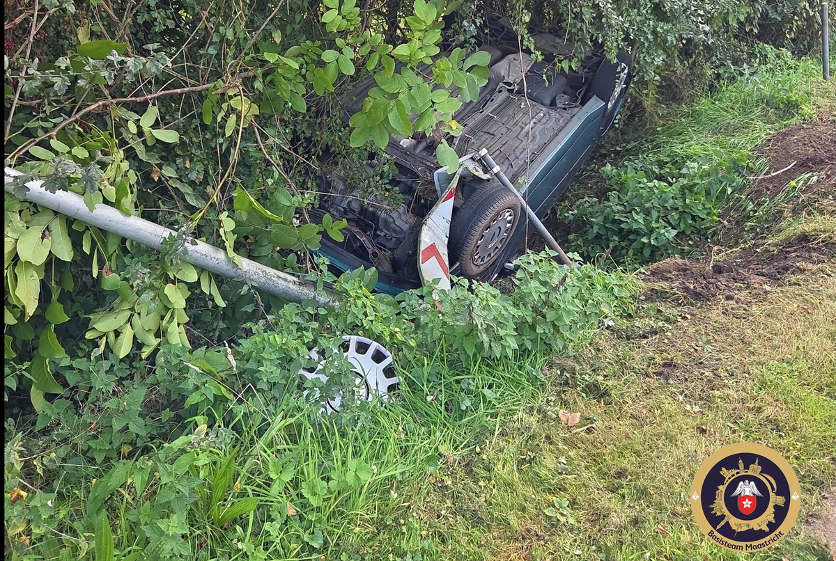Uitwijkmanoeuvre eindigt in crash
